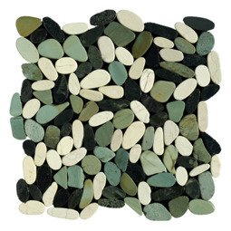 Otoczaki Turtle Otoczaki Turtle