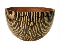 Salaterka Halmahera Salaterka Halmahera